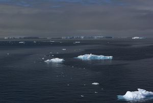 c25-Antarctic sound.jpg